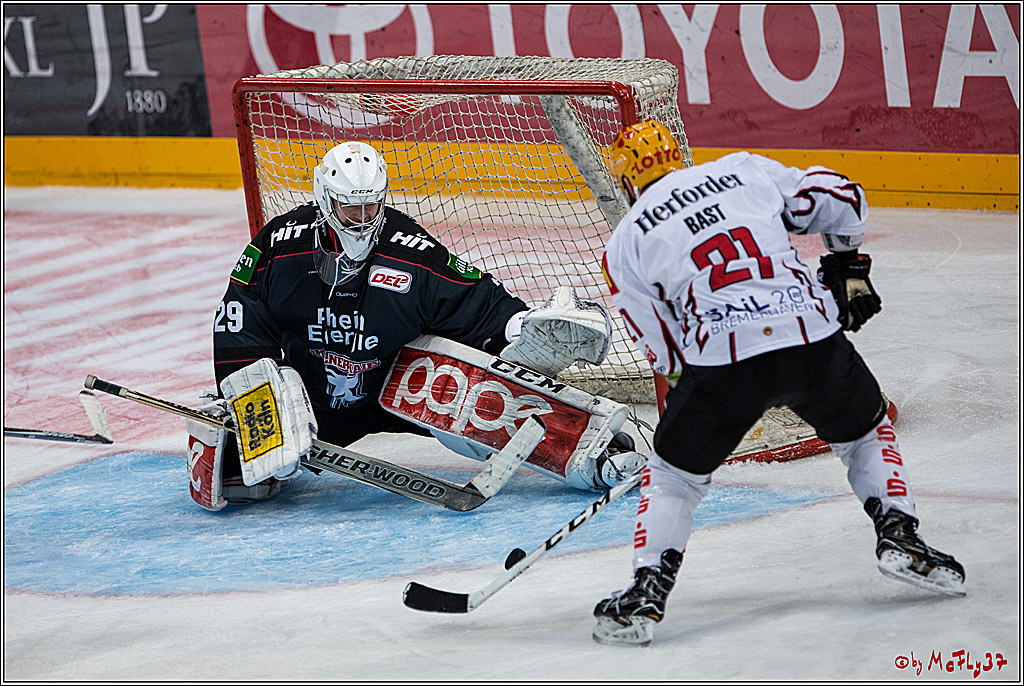 DEL, Koelner Haie - Fishtown Pinguins Bremerhaven, 29.01.2017